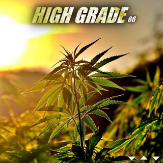 High Grade 66