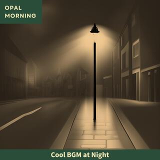 Cool Bgm at Night