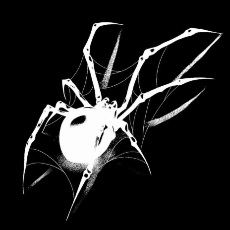 Spider | Boomplay Music