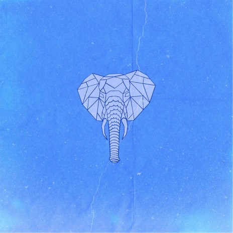 Elephant in The Room | Boomplay Music