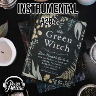 #284 FREE Beat the green witch boombap