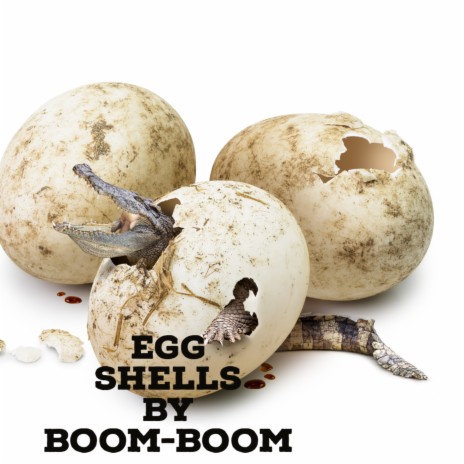 Egg Shells | Boomplay Music