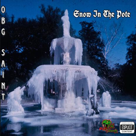 Snow In The Pote | Boomplay Music