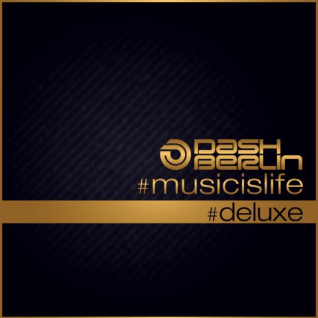 The Funeral (Dash Berlin Remix) ft. Band Of Horses | Boomplay Music