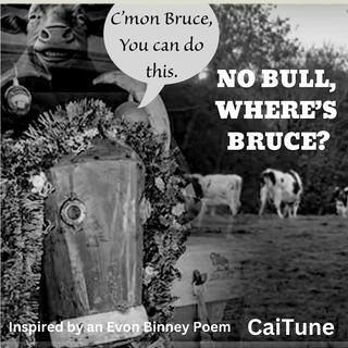 No Bull, Where's Bruce?