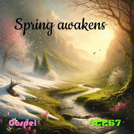 Spring awakens (Radio Edit) | Boomplay Music