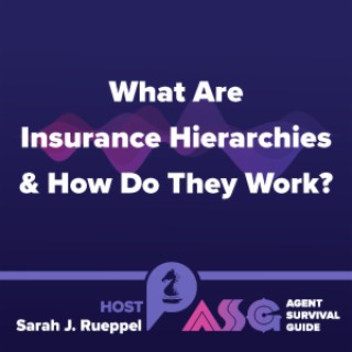 What Are Insurance Hierarchies & How Do They Work?