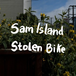 Stolen bike