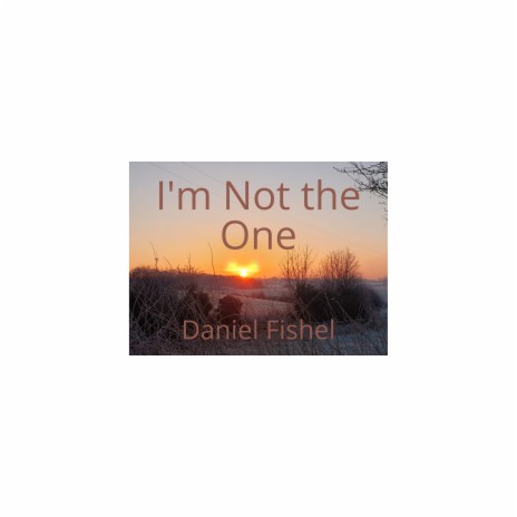 I'm Not the One | Boomplay Music