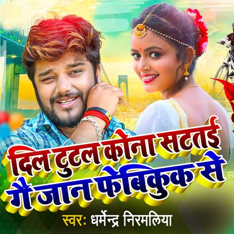 Dil Tutal Kona Satatai Ge Jaan Fevikwik Se | Boomplay Music