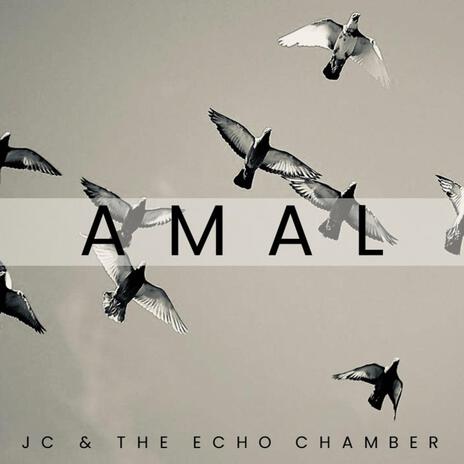 Amal | Boomplay Music