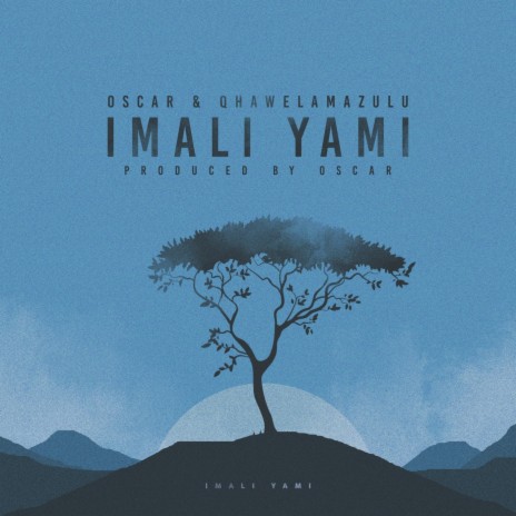 Imali Yami (feat. Qhawelamazulu) | Boomplay Music