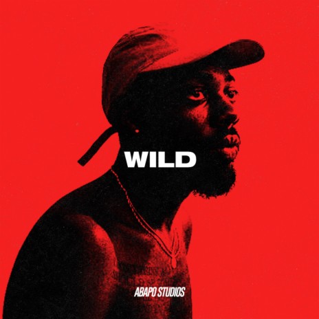 Wild | Boomplay Music