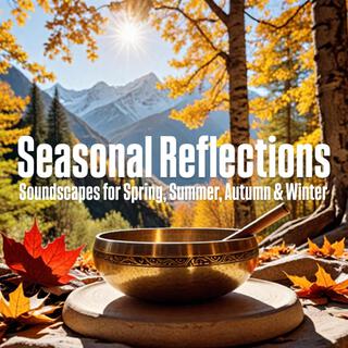 Seasonal Reflections