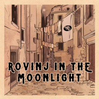 Rovinj in the Moonlight lyrics | Boomplay Music