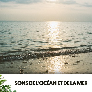 Sons de l'Océan et de la Mer: Berceau de Rêves