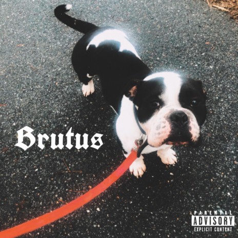 Brutus | Boomplay Music