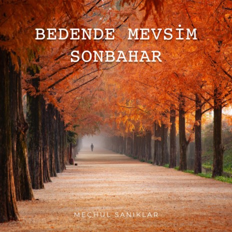 Bedende Mevsim Sonbahar