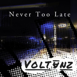 Never Too Late lyrics | Boomplay Music