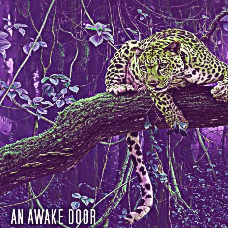 An Awake Door | Boomplay Music