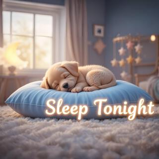 Sleep Tonight lyrics | Boomplay Music