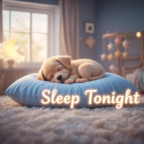 Sleep Tonight | Boomplay Music