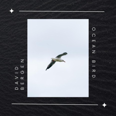 Ocean Bird | Boomplay Music
