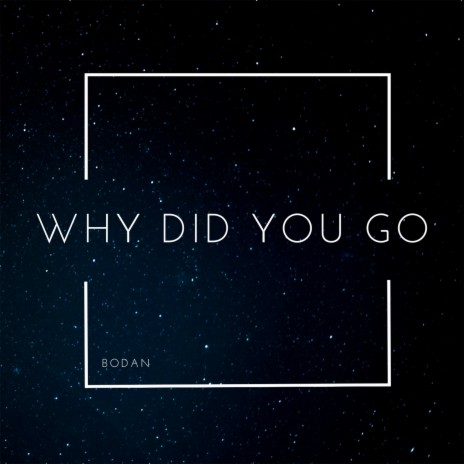 Why Did You Go | Boomplay Music