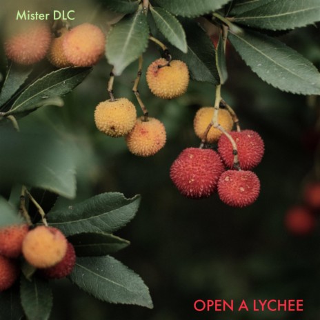 Open a Lychee (Instrumental)