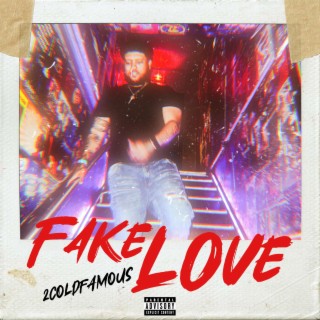 Fake Love