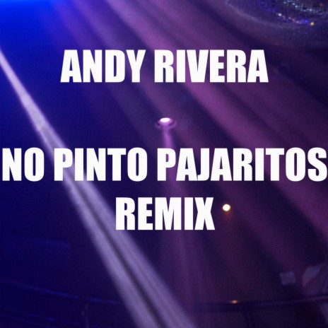 No Pinto Pajaritos (Extended Mix) | Boomplay Music