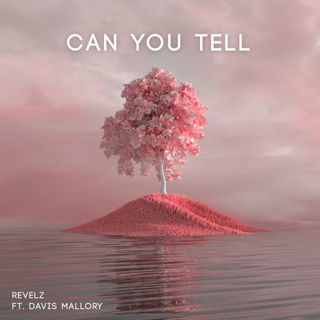 Can You Tell (Extended Mix) ft. Davis Mallory | Boomplay Music