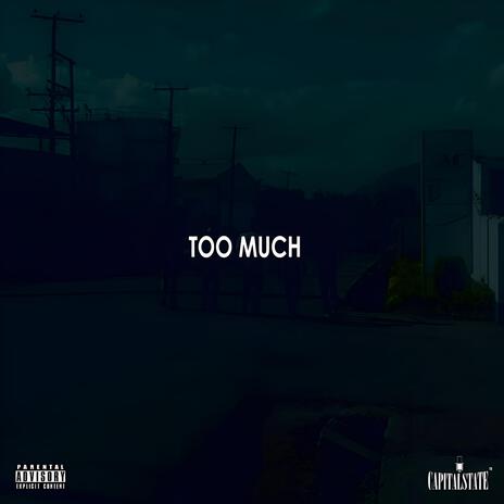 Too Much ft. Priceless | Boomplay Music