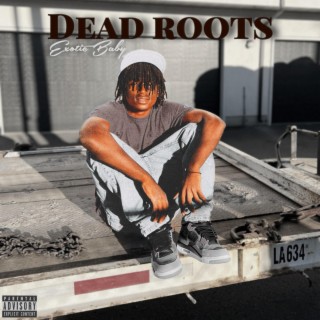 DEAD ROOTS 2