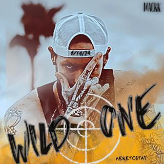 Wild One lyrics | Boomplay Music