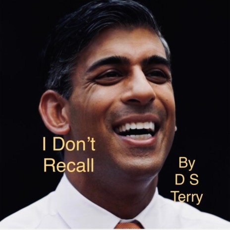 I Dont Recall (Radio Edit) | Boomplay Music