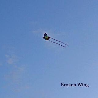 Broken Wing lyrics | Boomplay Music