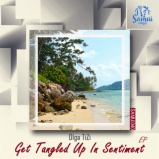 Get Tangled Up In Sentiment EP