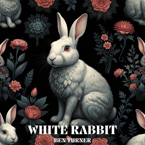 White Rabbit | Boomplay Music