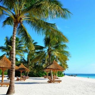 Sands of Zanzibar