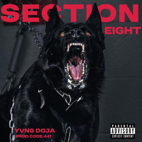 SECTION EIGHT | Boomplay Music