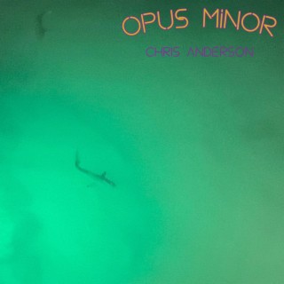 Opus Minor