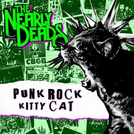 Punk Rock Kitty Cat | Boomplay Music