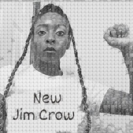 New Jim Crow | Boomplay Music