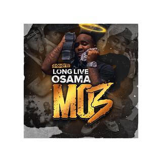 LLOSAMA (T.I.P MO3)