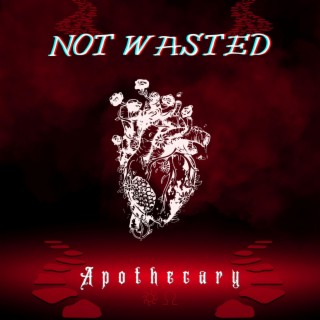 Not Wasted lyrics | Boomplay Music