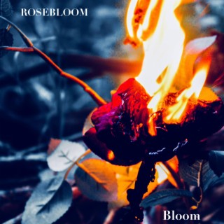 ROSEBLOOM