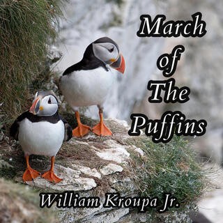 March of The Puffins