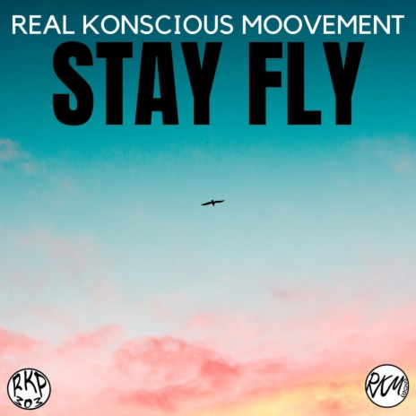 STAY FLY | Boomplay Music
