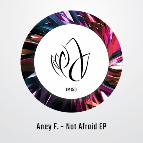 Not Afraid (Original Mix)